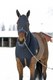 WAHLSTEN HEALING TITANIUM STRETCH HUVA, SVART